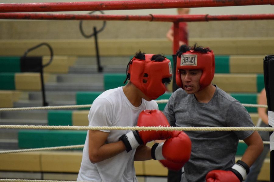 Students face off in boxing matches