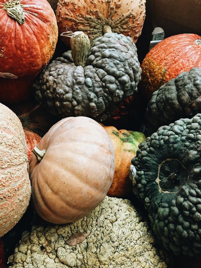 Finding+the+meaning+of+Thanksgiving