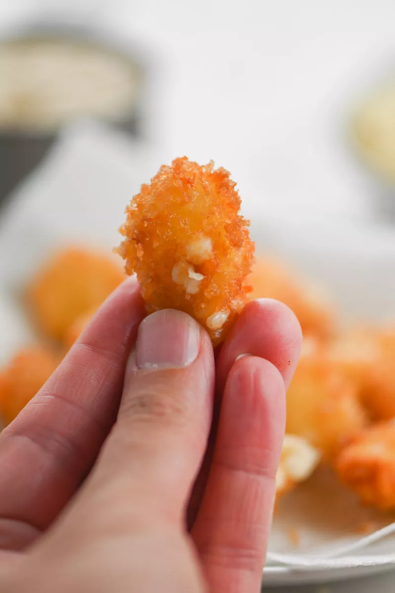 The best cheese curds in the area and where to find them